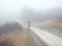 Denis sous le brouillard